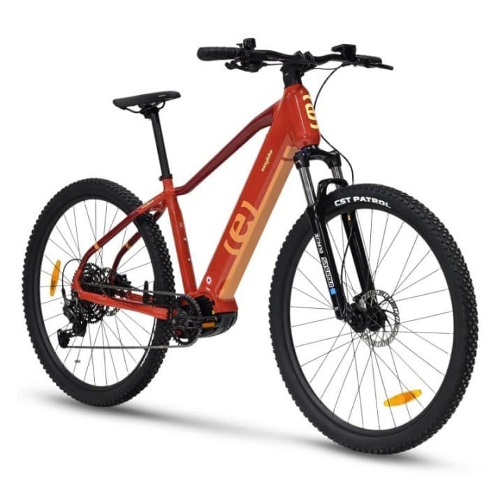EASYBIKE - EASY SPORT D11 Millésime 2025